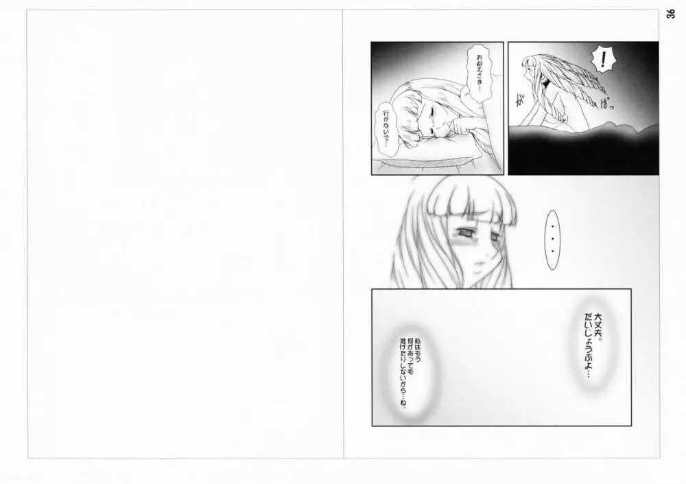 inferior5 - page36
