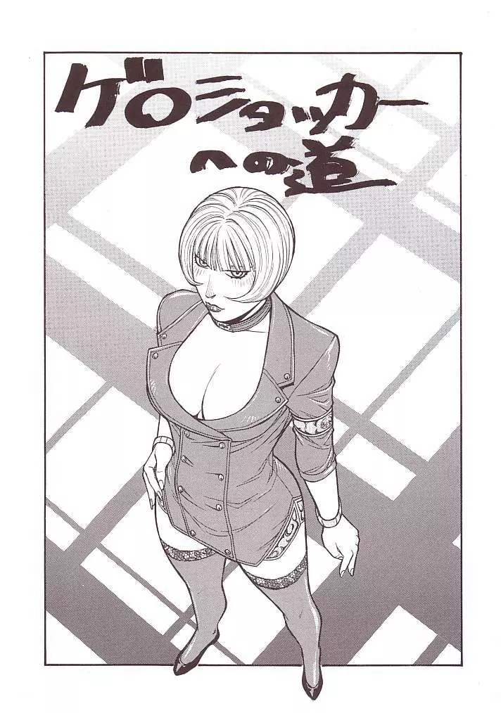 FIGHTERS GIGAMIX FGM Vol.15 - page29