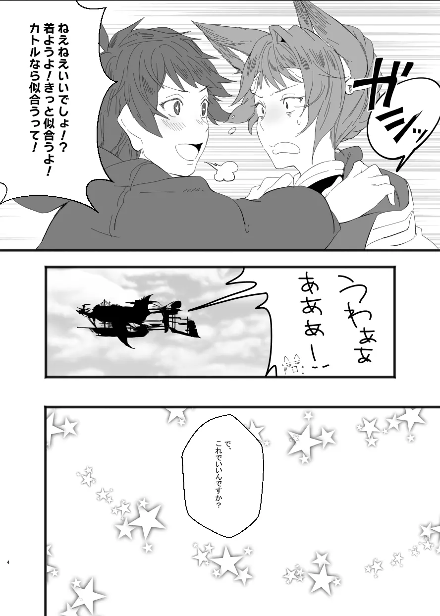 C91コピ本+C93コピ本 - page3