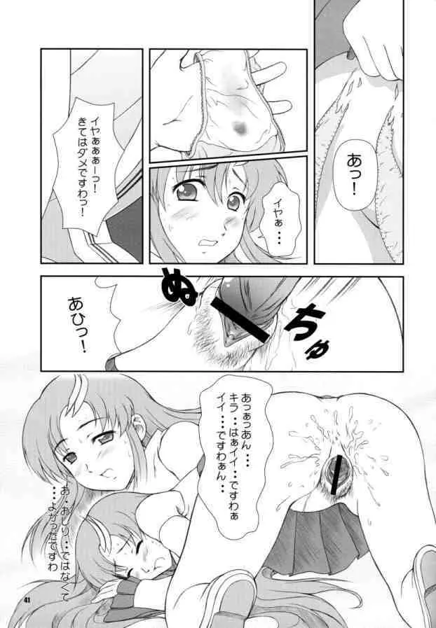 BATTLE OF TWINS～結末の絆～ - page40