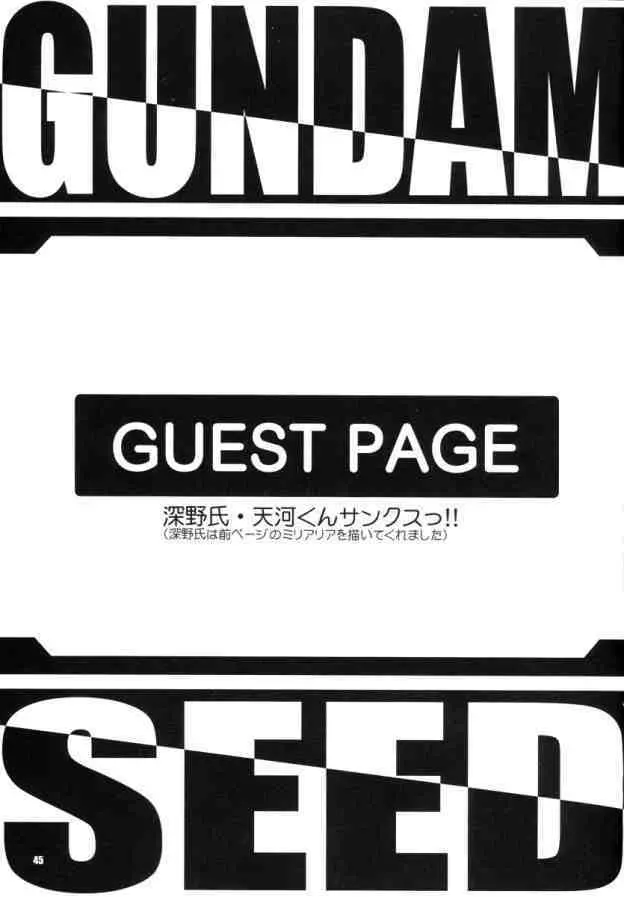 BATTLE OF TWINS～結末の絆～ - page44