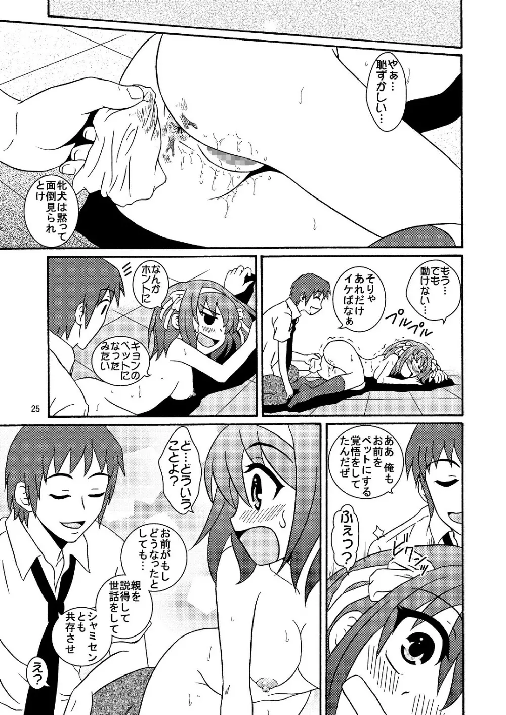 涼宮ハルヒさんの危険な愛体験4 - page25