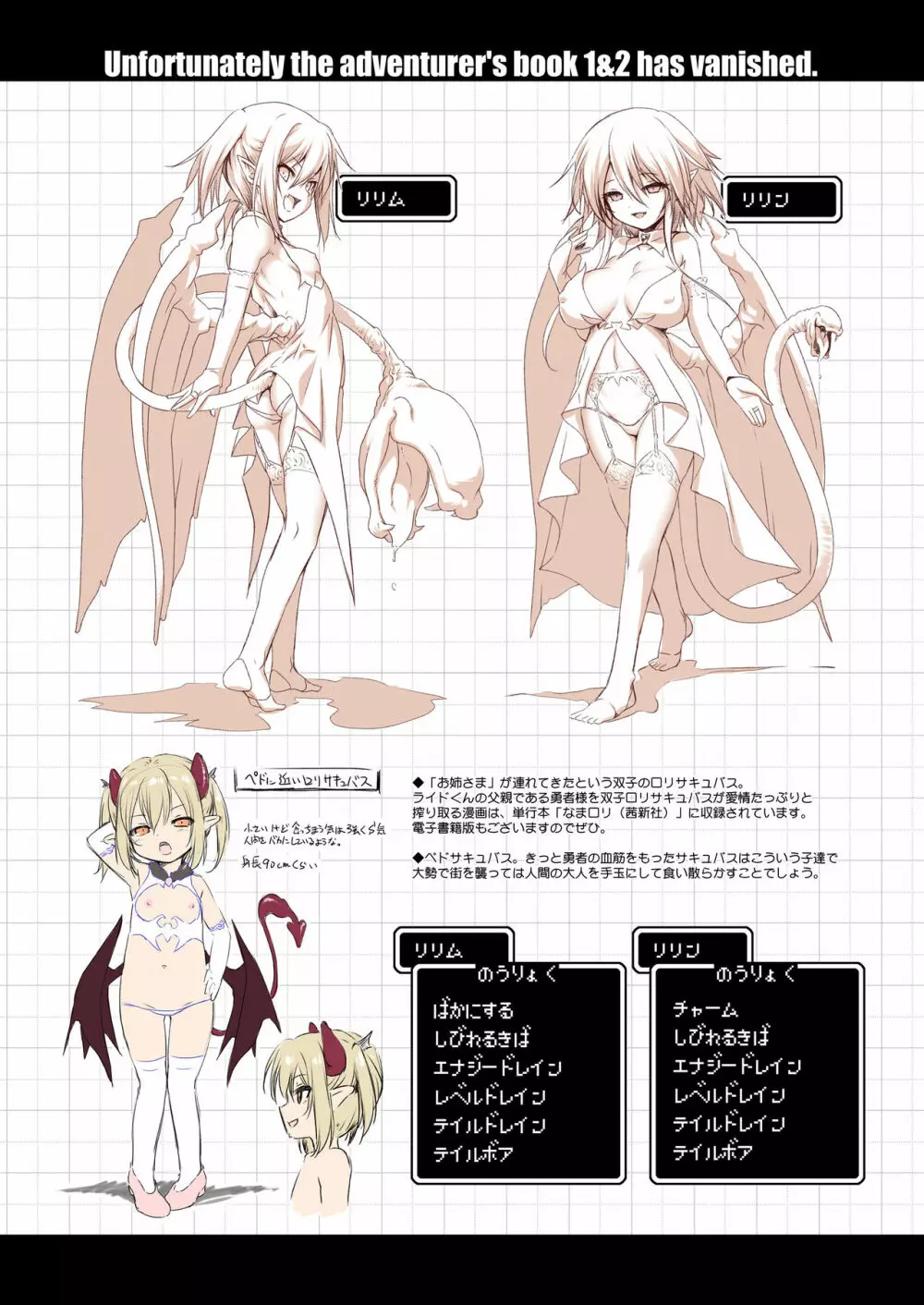 まことに ざんねんですが ぼうけんのしょ2は消えてしまいました。 - page28