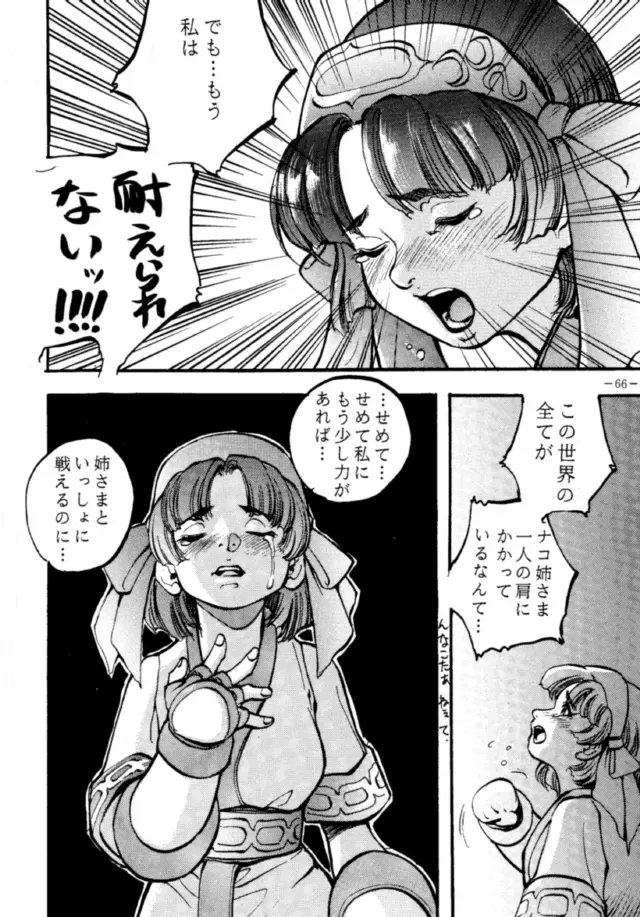 MODEL DX 2 - page65