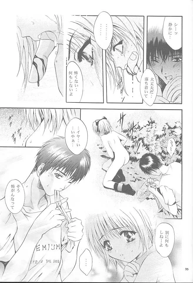 MOUSOU みにしあたー 5 - page34