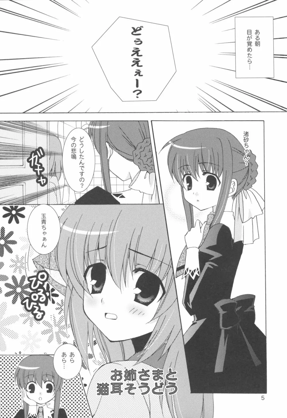 お姉さまと猫耳そうどう - page5