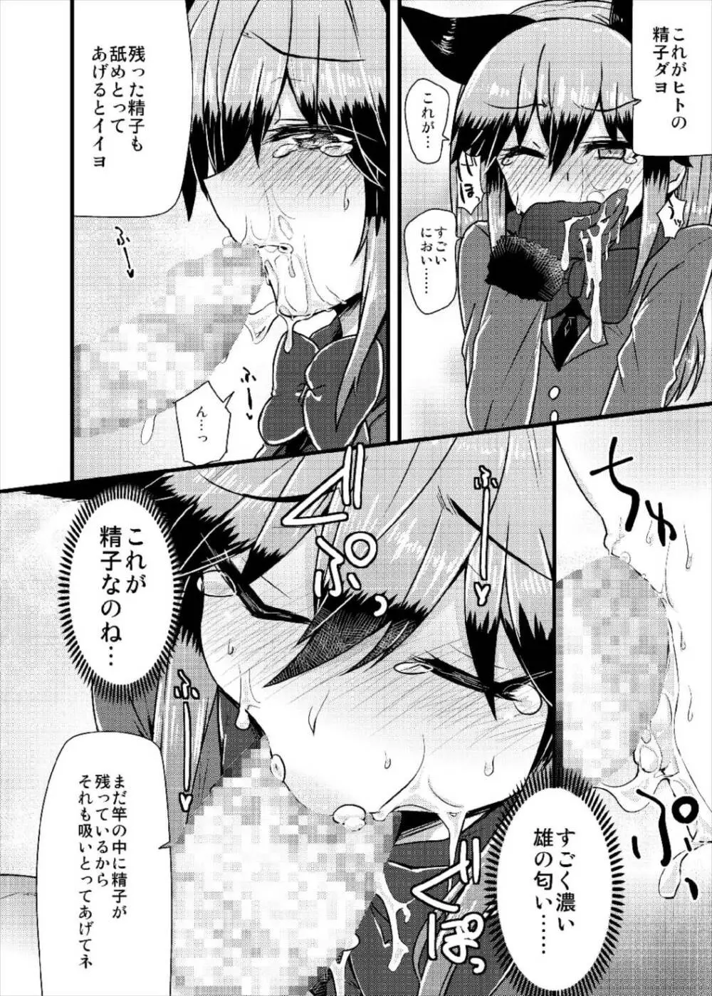 ギンギツネちゃんにヒトの交尾をおしえたいっ - page12