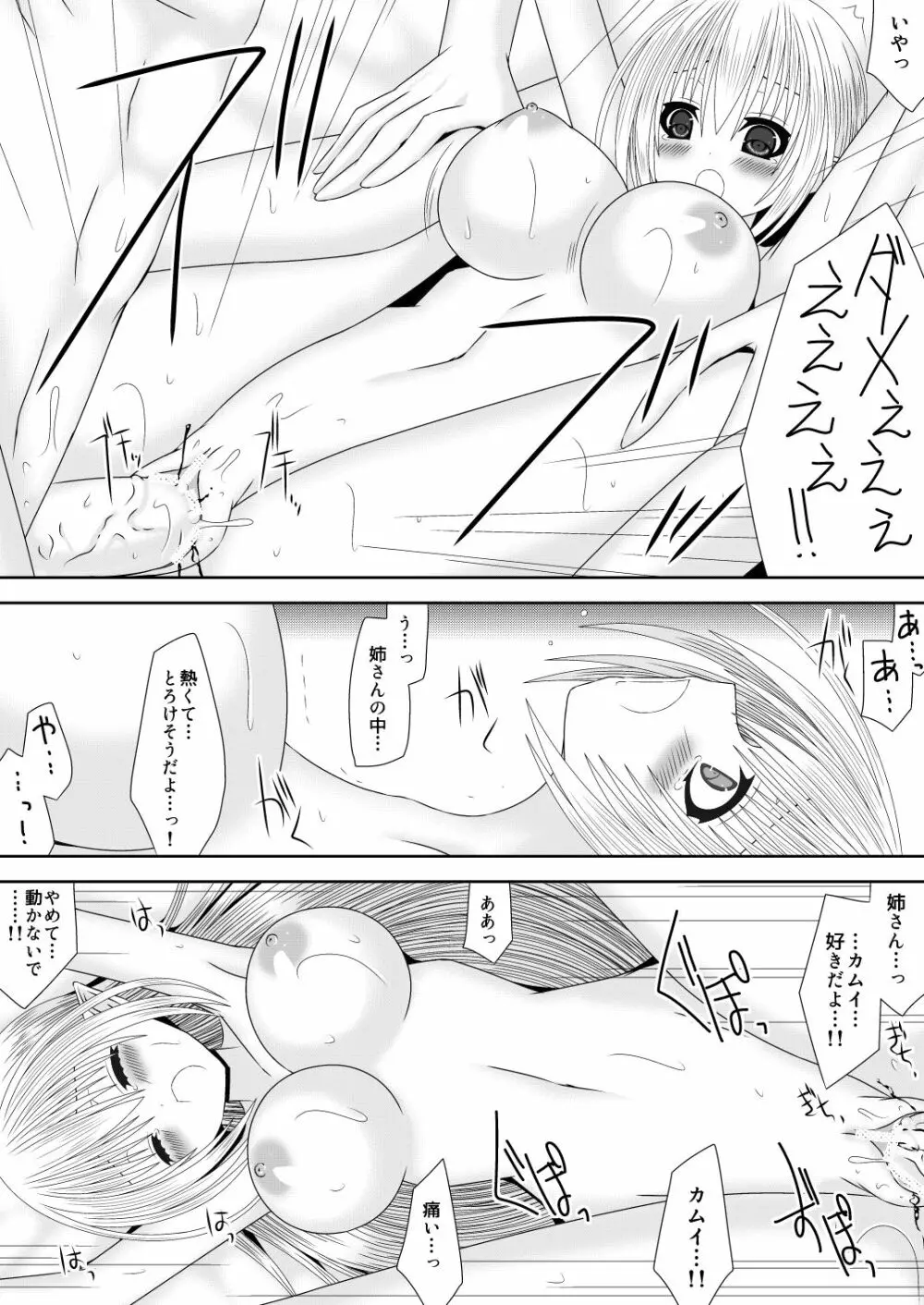 弟たちの透魔王国繁栄記 - page11
