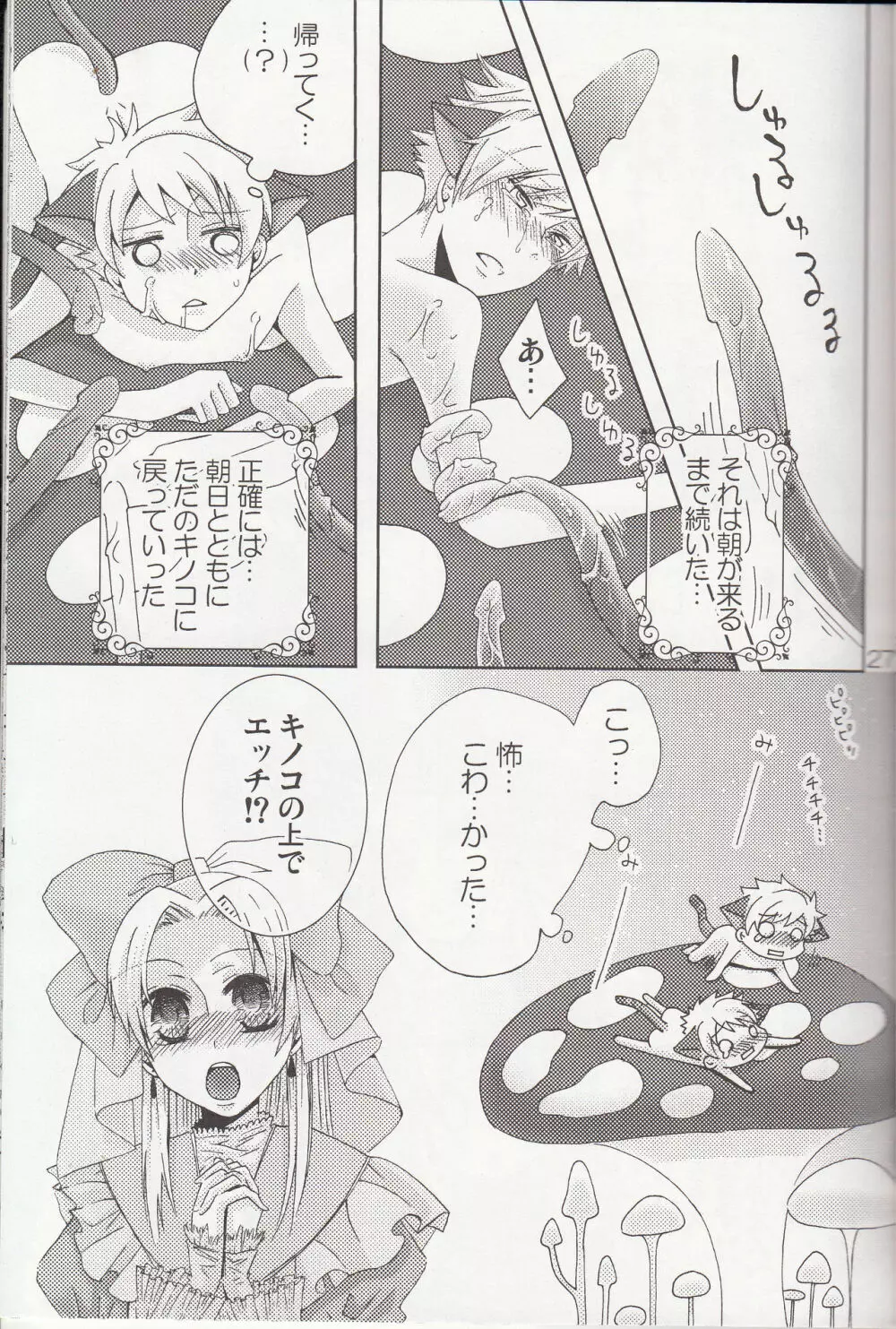 (C78) [双子部屋 (きたよりみなみ)] -触手- (桜蘭高校ホスト部) - page25
