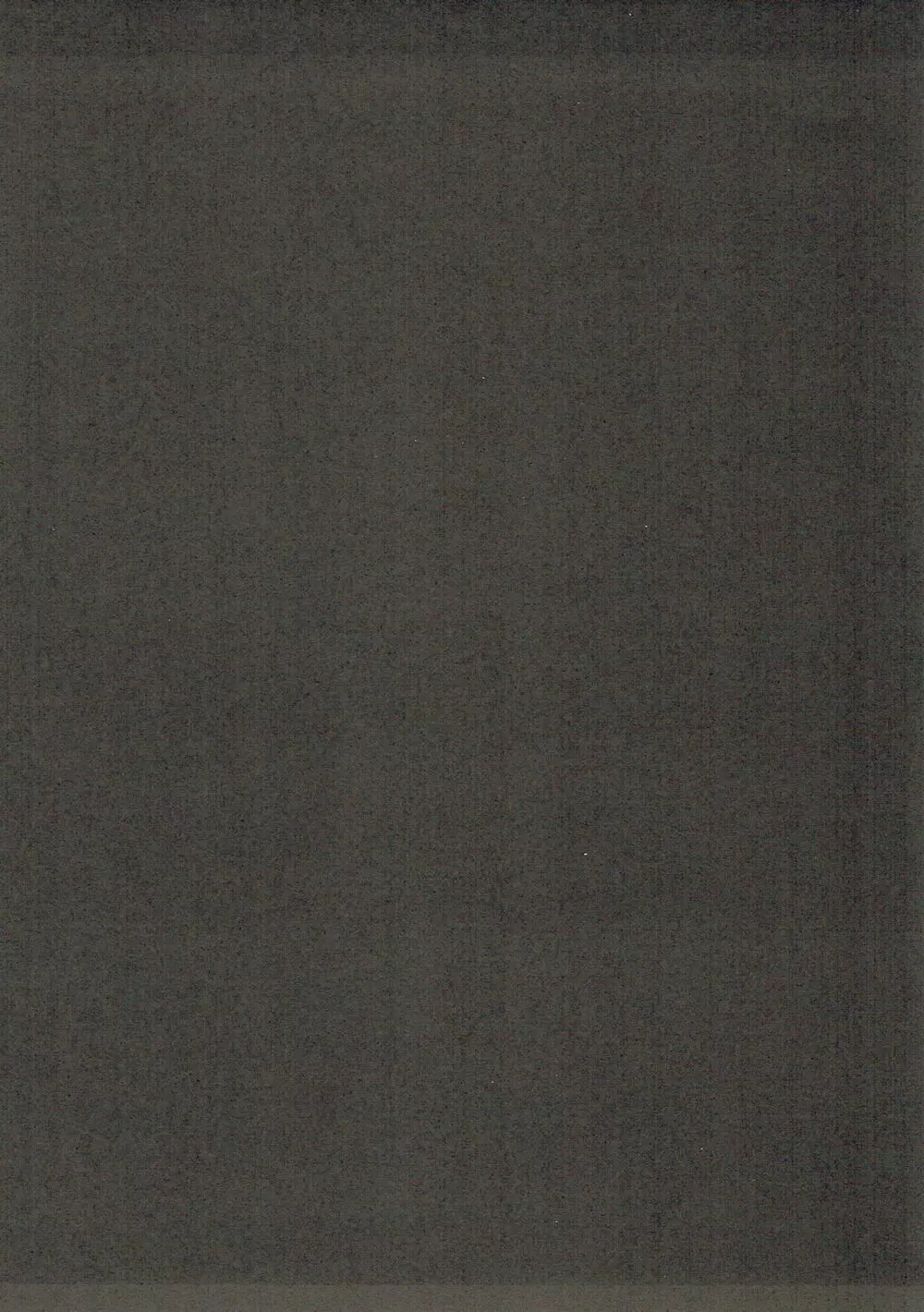 ジャイロゼッターのエロ本 - page25