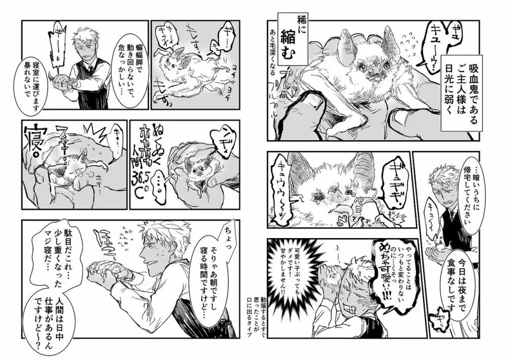 吸血鬼ロリババアと食用人間奴隷くん - page10