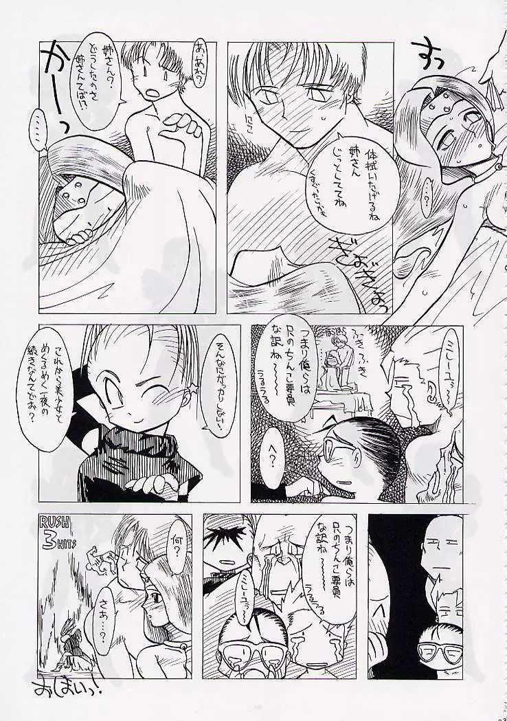 DRAGONQUEST nirvana - page22