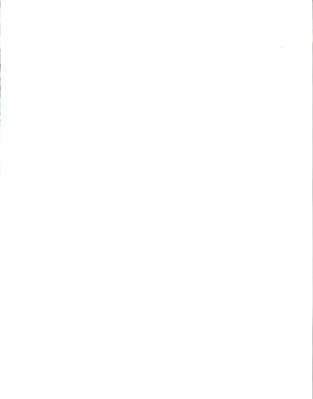 朝鮮飴 Ver.11.0 - page2