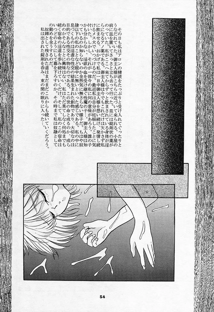 SHADOW CANVAS 3 - page52