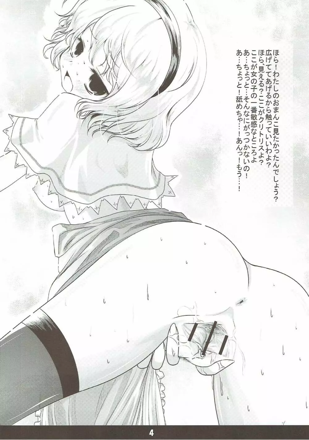 幻想郷くぱぁ本2 - page3