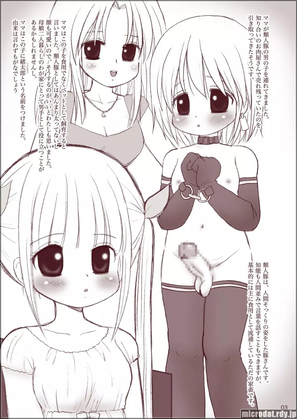 連帯制御過知覚定律 - page3
