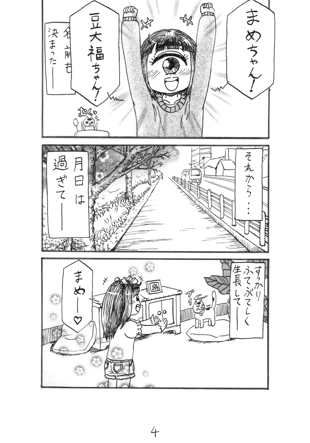 わが家の猫とマーメイド - page4