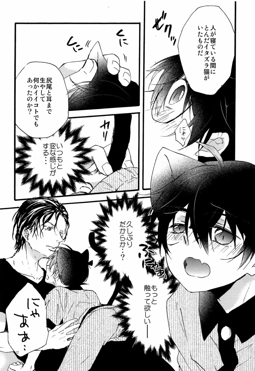 ボウヤはかわいいオレのキティ - page11