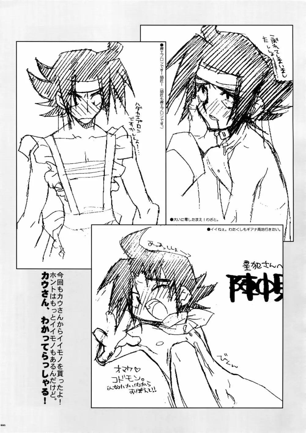 Gガン女性向再録集 - page65