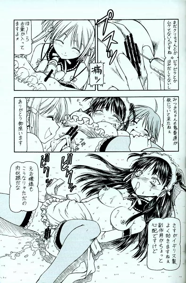 これが鬼畜な御主人様4 - page14