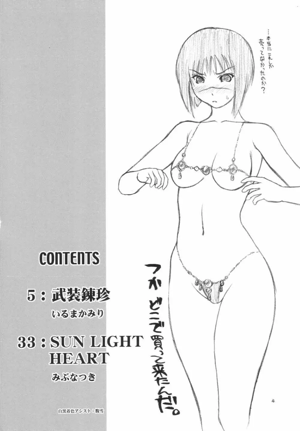錬金の本 - page3