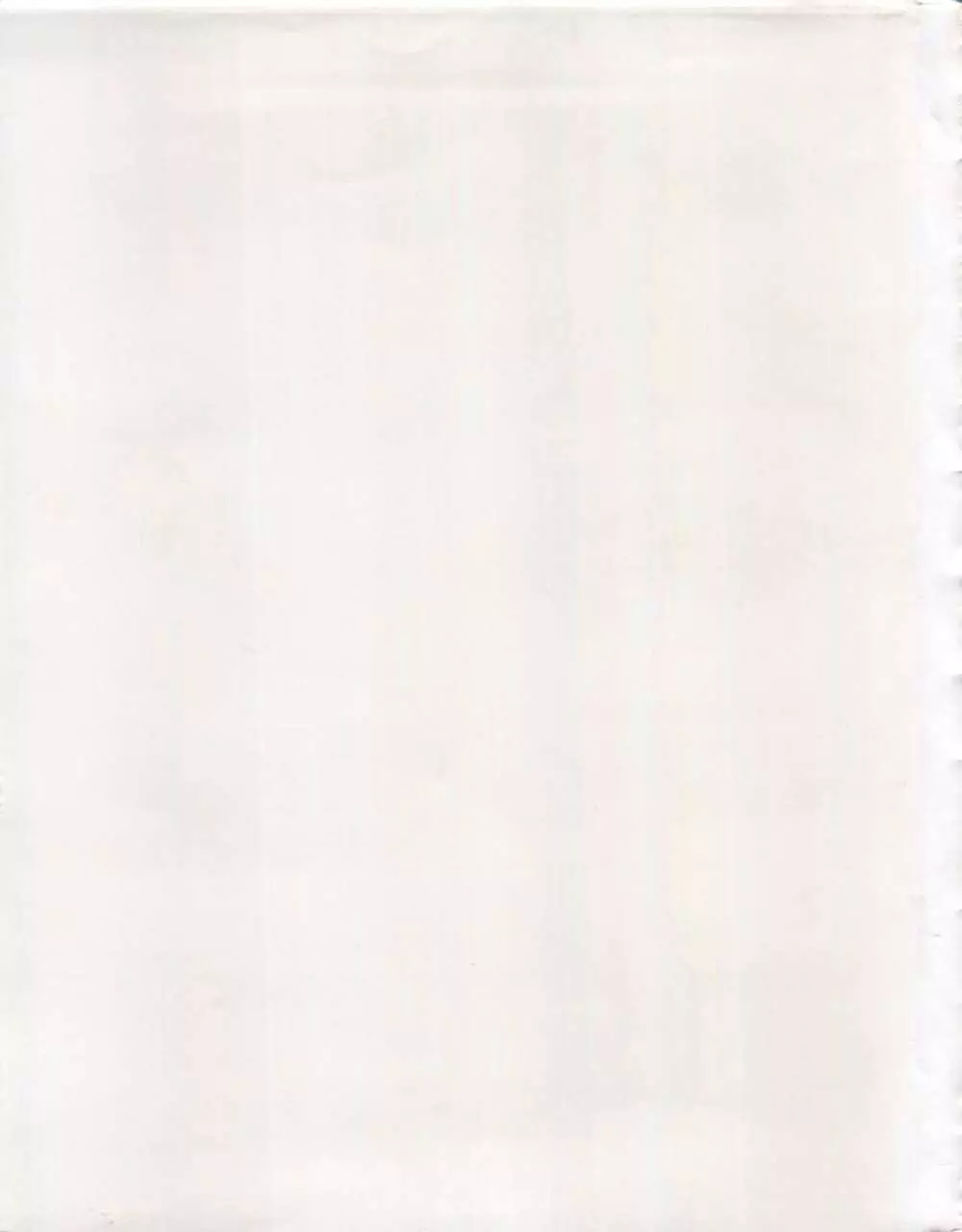 THE SECRET OF 血祭屋 VOL.III - page75