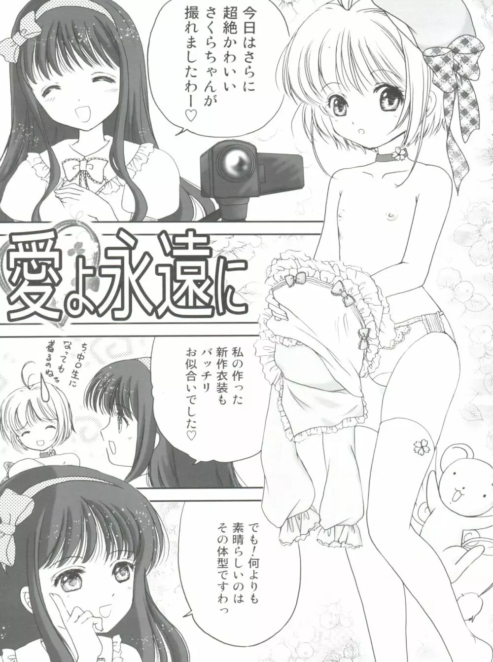 SAKURA Festival - page7