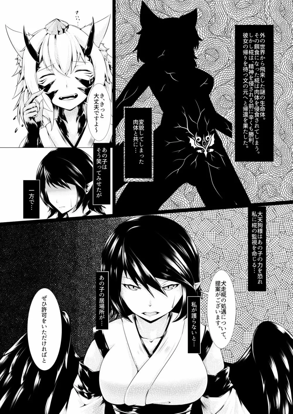 侵食文 - page2