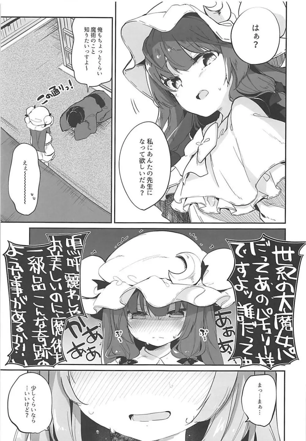 パチュリー先生が教えてくれる - page3