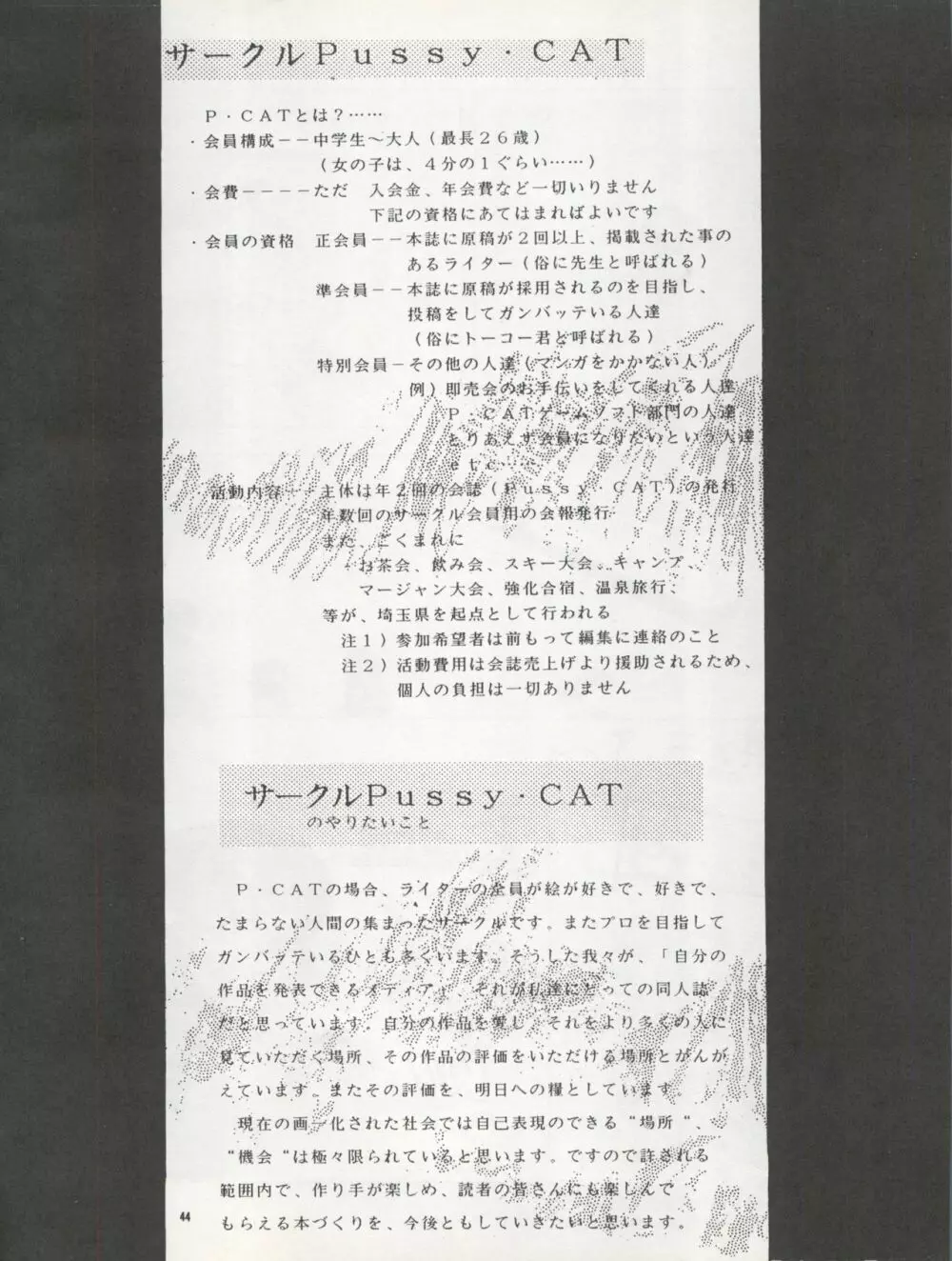 Pussy・CAT Vol.22 パイちゃん本 2 - page44
