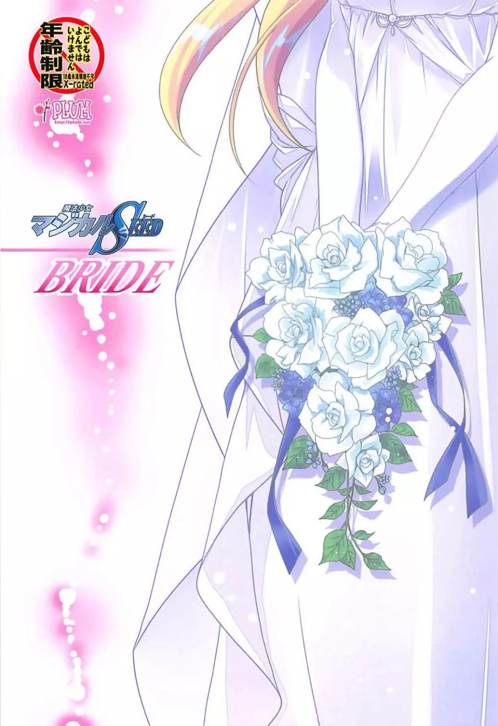 マジカルSEED BRIDE - page18