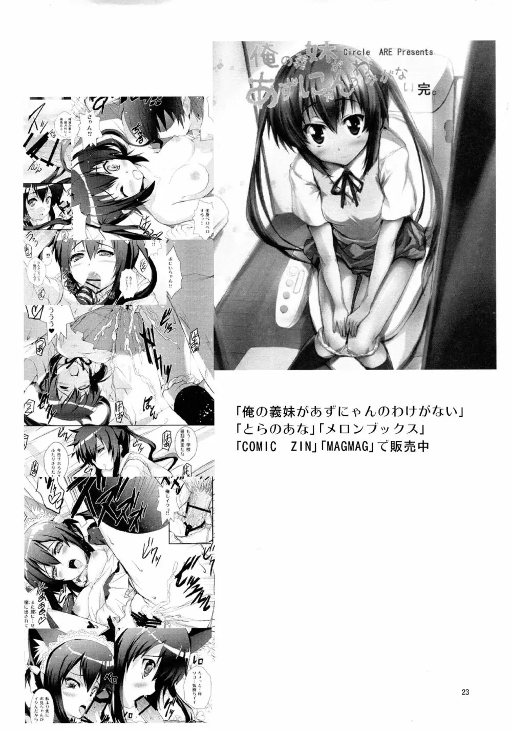 電波とスマキと親子丼ブリ - page23