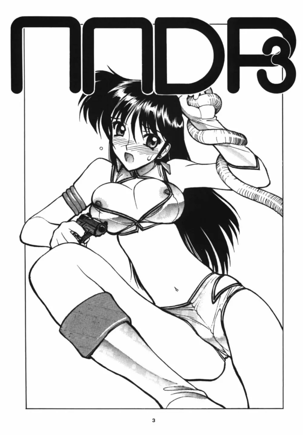 NNDP3 - page3