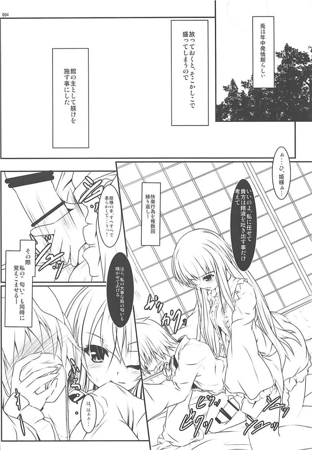 姫様式 兎ノ躾 - page3
