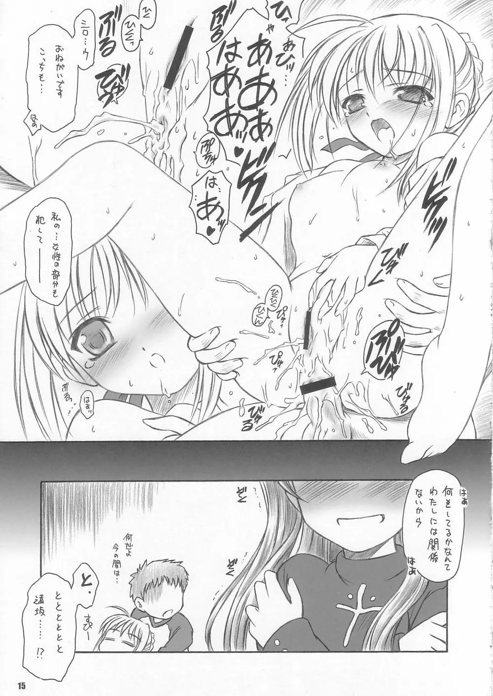 CATTLEYA 3 - page14