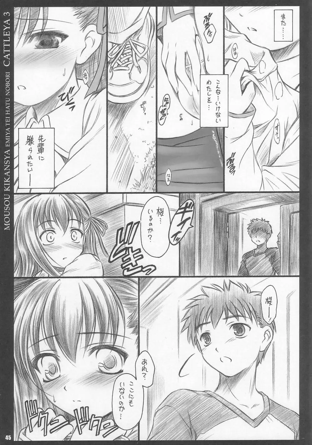 CATTLEYA 3 - page44