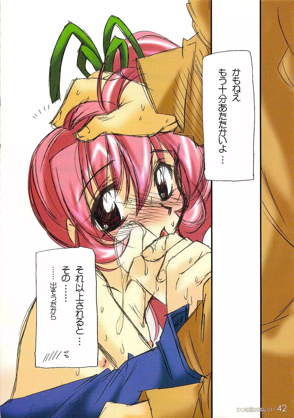 わつき屋のほん011 - page40