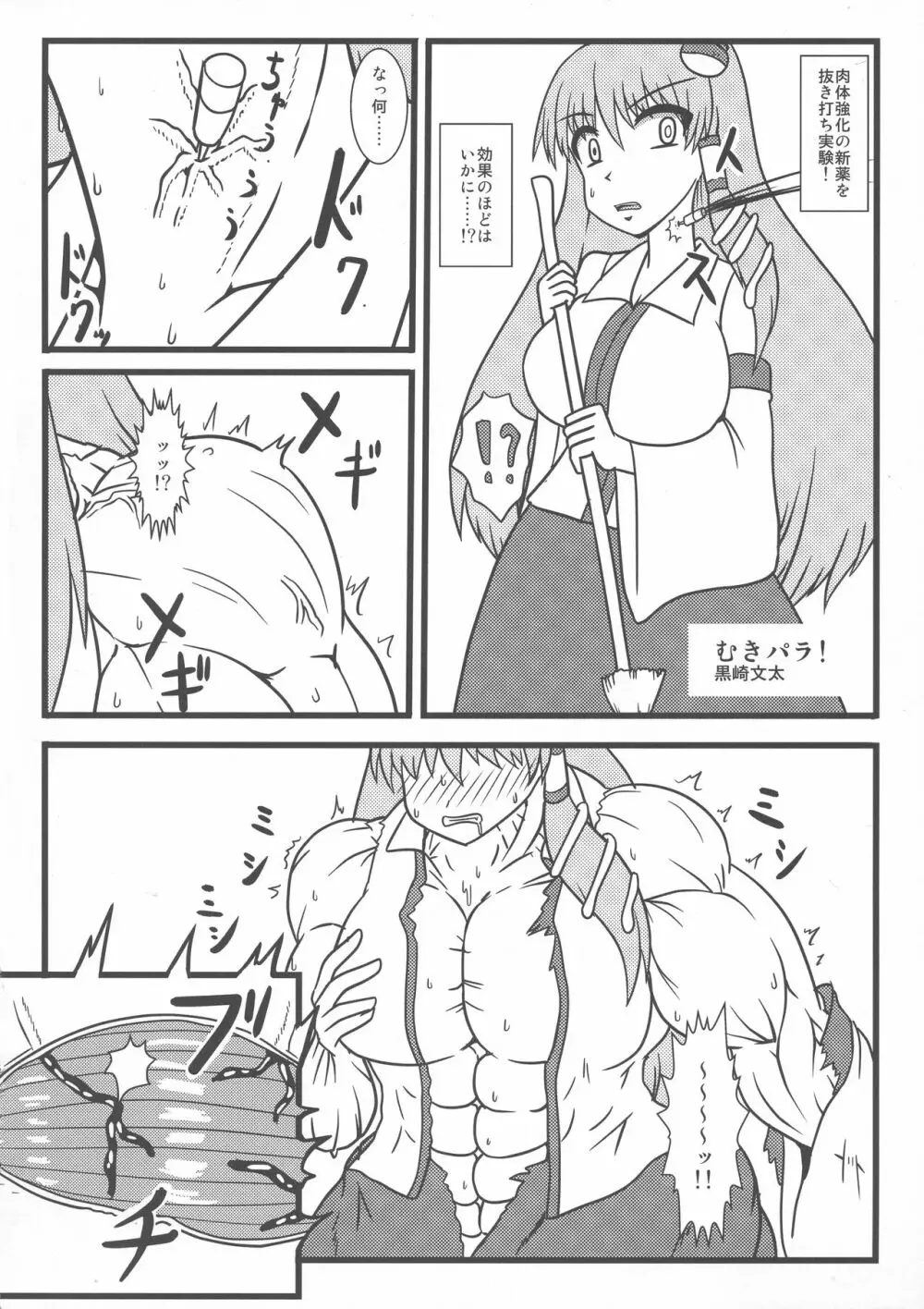 東方膨張系総合合同誌「膨女2!!!!!!!!」 - page113