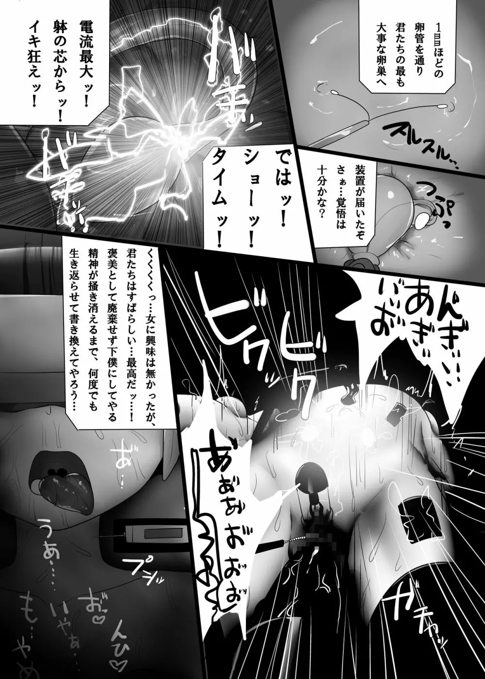 陵辱の調べ - page15