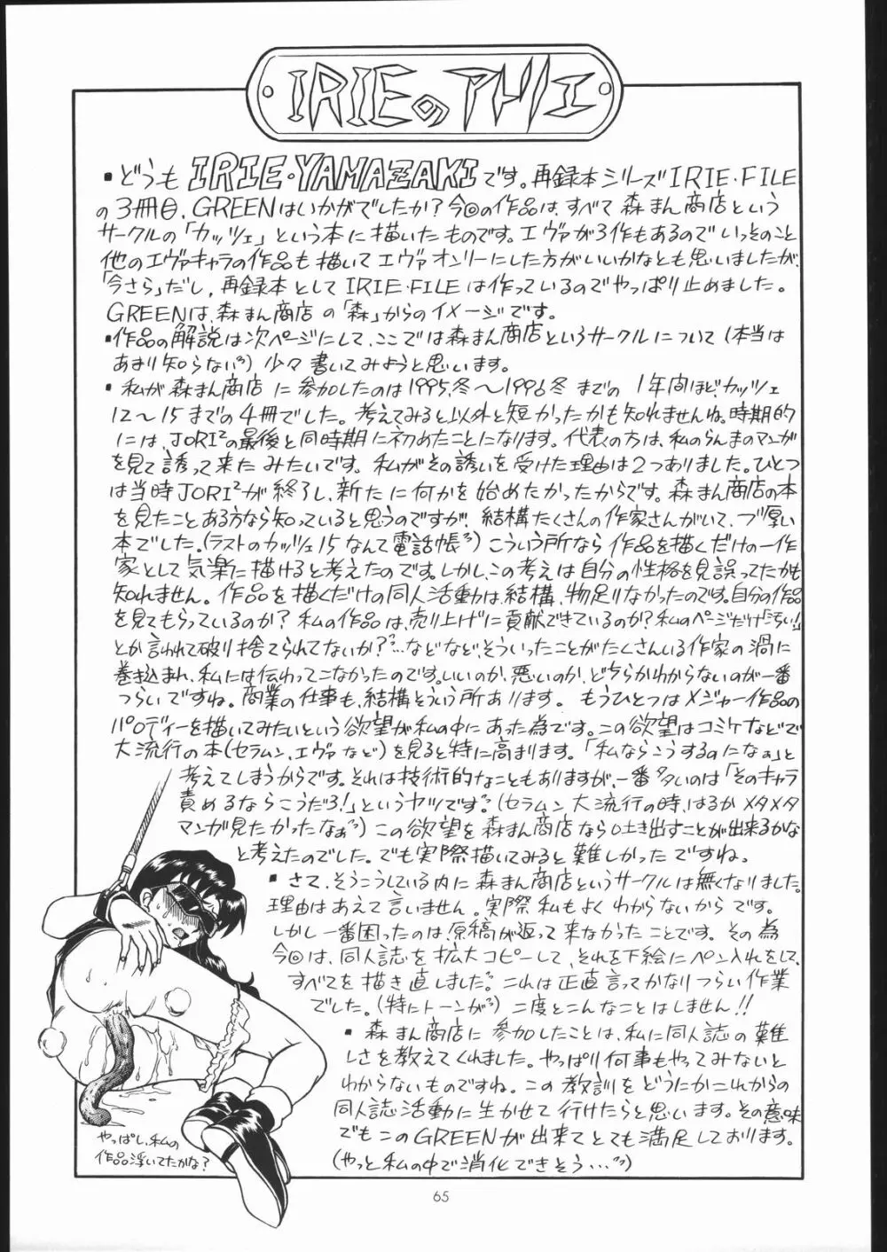 IRIE FILE GREEN - page64