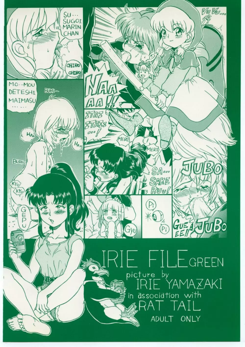IRIE FILE GREEN - page68