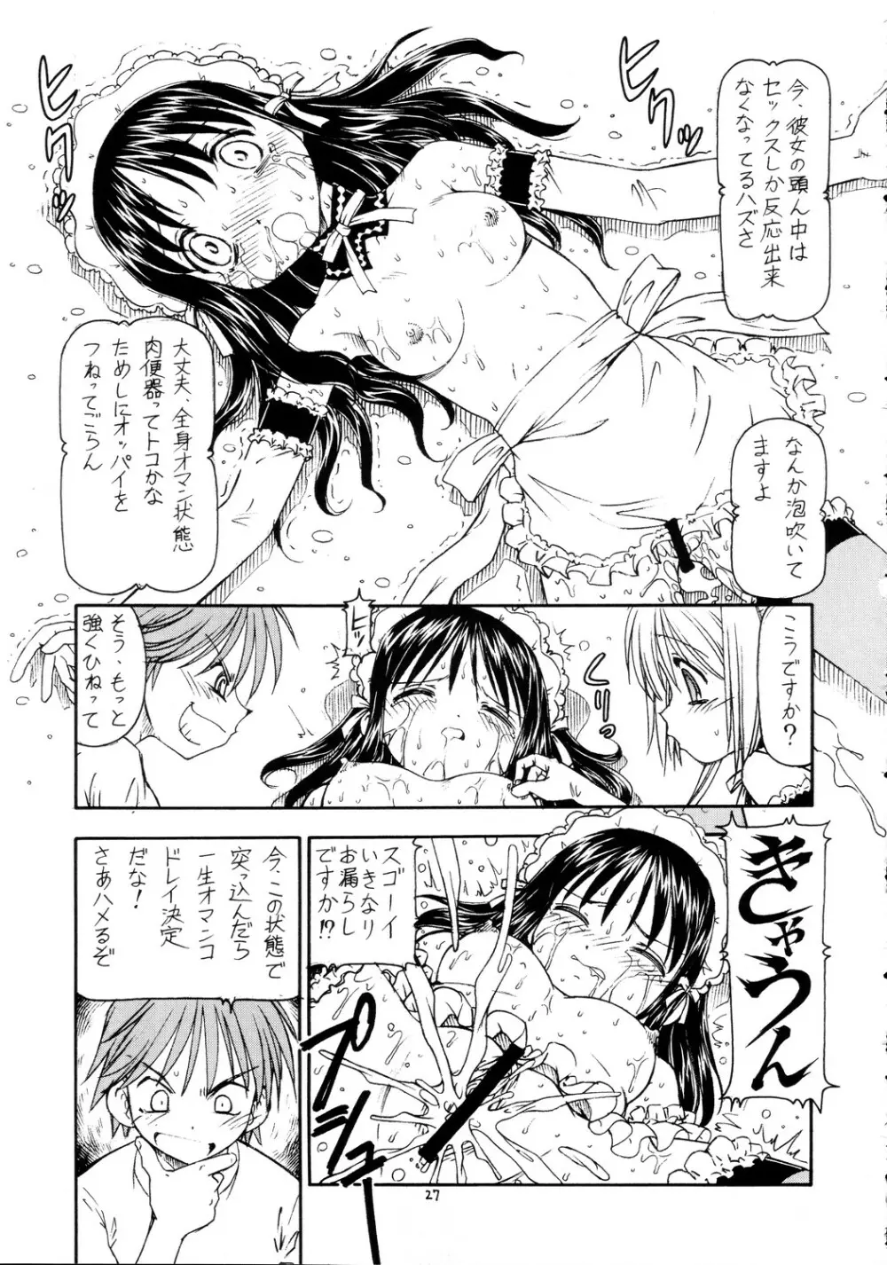 これが鬼畜な御主人様2 - page28
