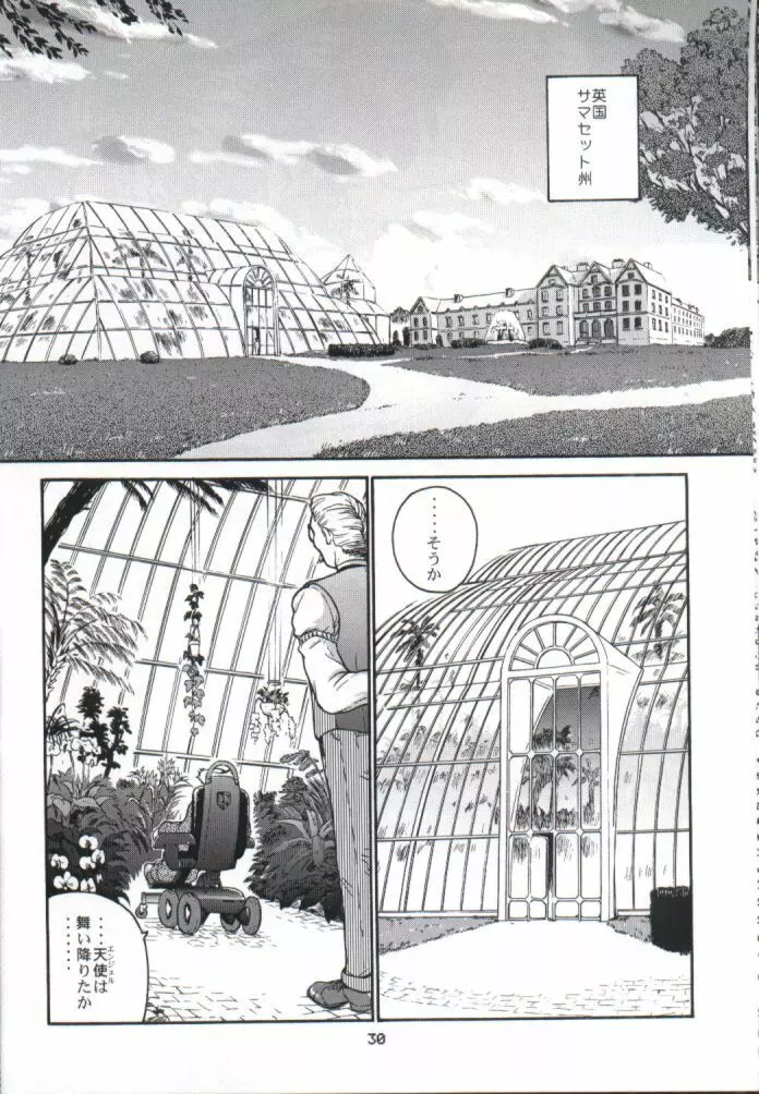 ダルシーレポート 1 - page29
