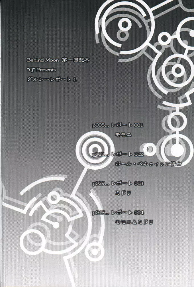 ダルシーレポート 1 - page3