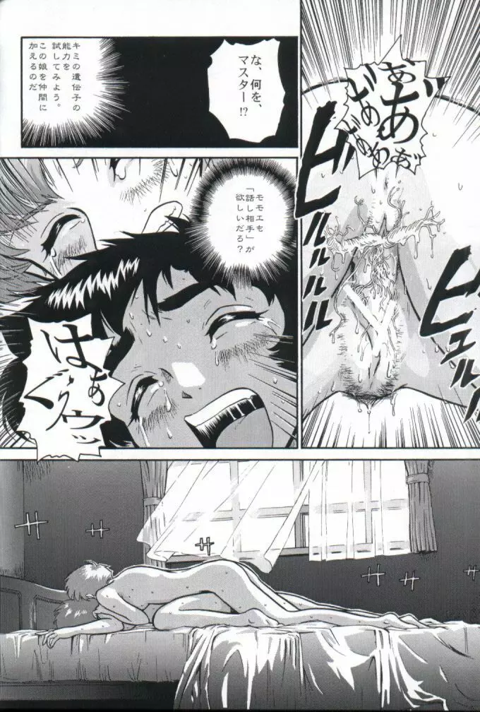ダルシーレポート 1 - page41