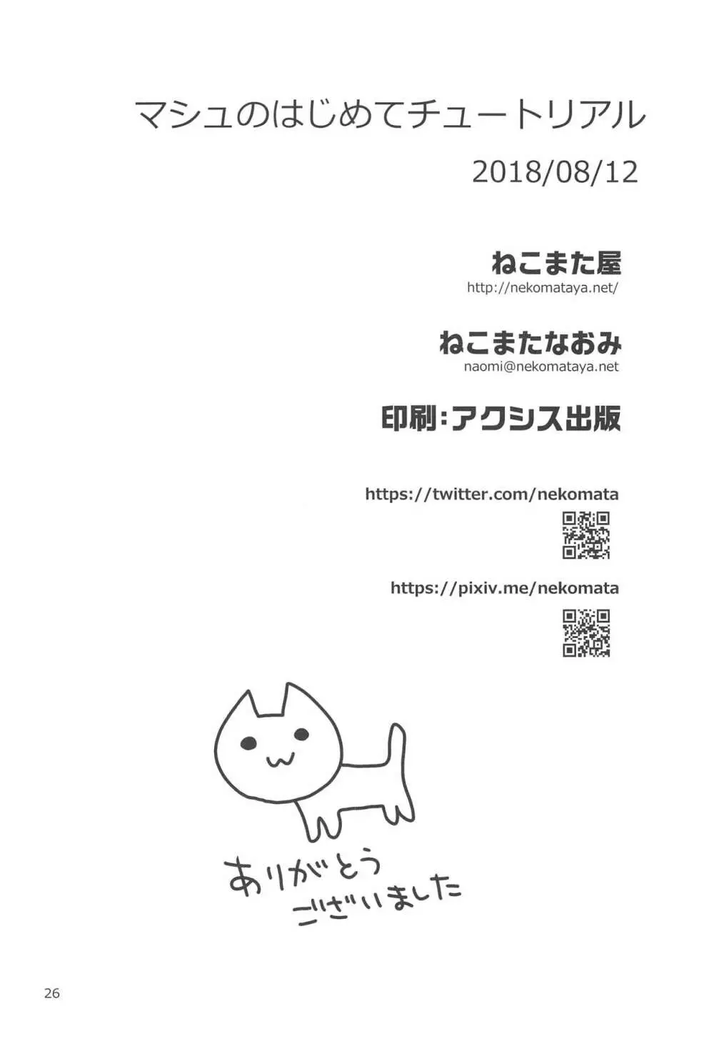 マシュのはじめてチュートリアル - page26