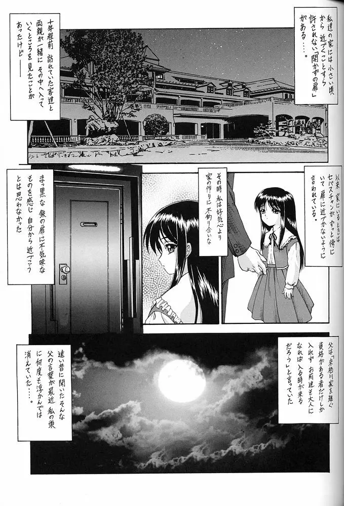 Y-SELECTION - page26