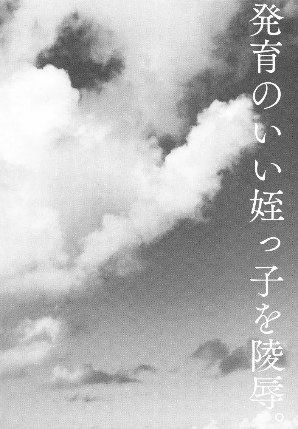発育のいい姪っ子を陵辱。 - page3