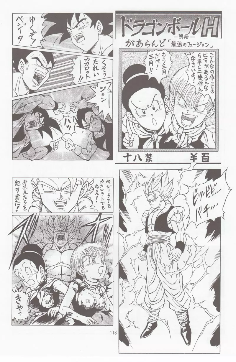 ドラゴンボールH 別冊 総集編 - page117