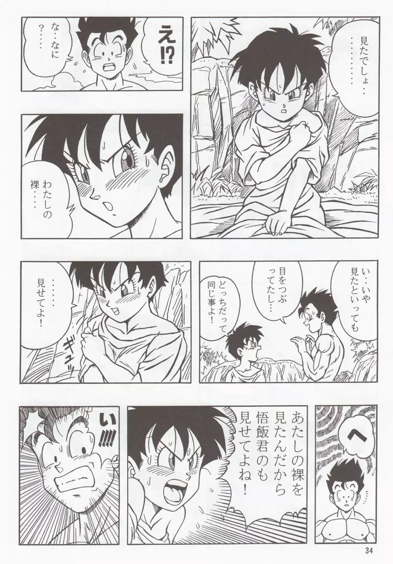 ドラゴンボールH 別冊 総集編 - page33